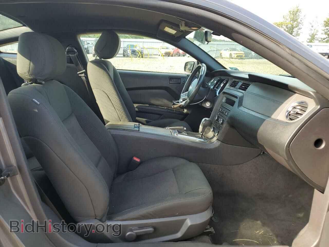 2014 FORD MUSTANG - VIN: 1ZVBP8AM4E5257884 - Фото 5