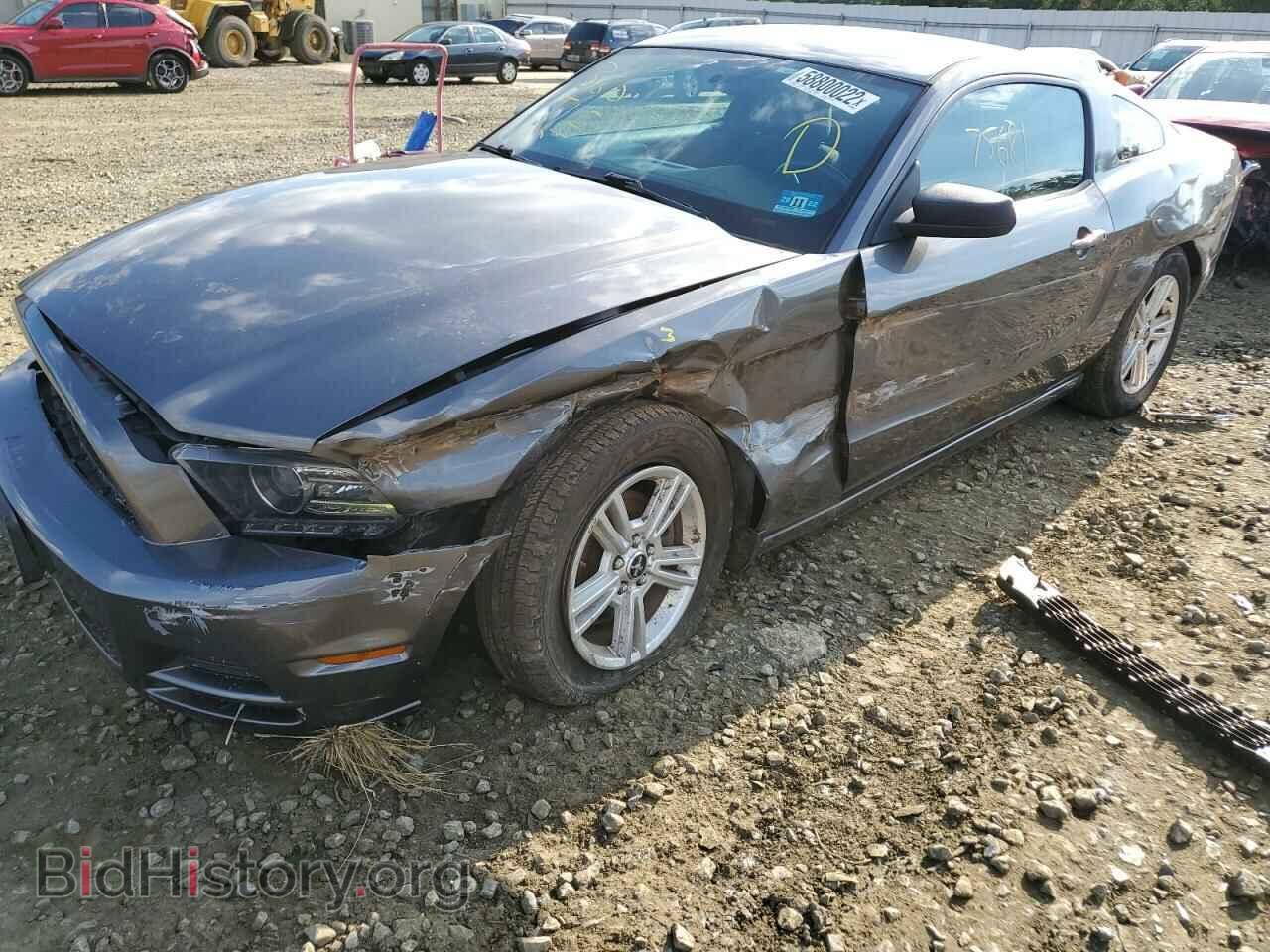 2014 FORD MUSTANG - VIN: 1ZVBP8AM4E5257884 - Фото 9