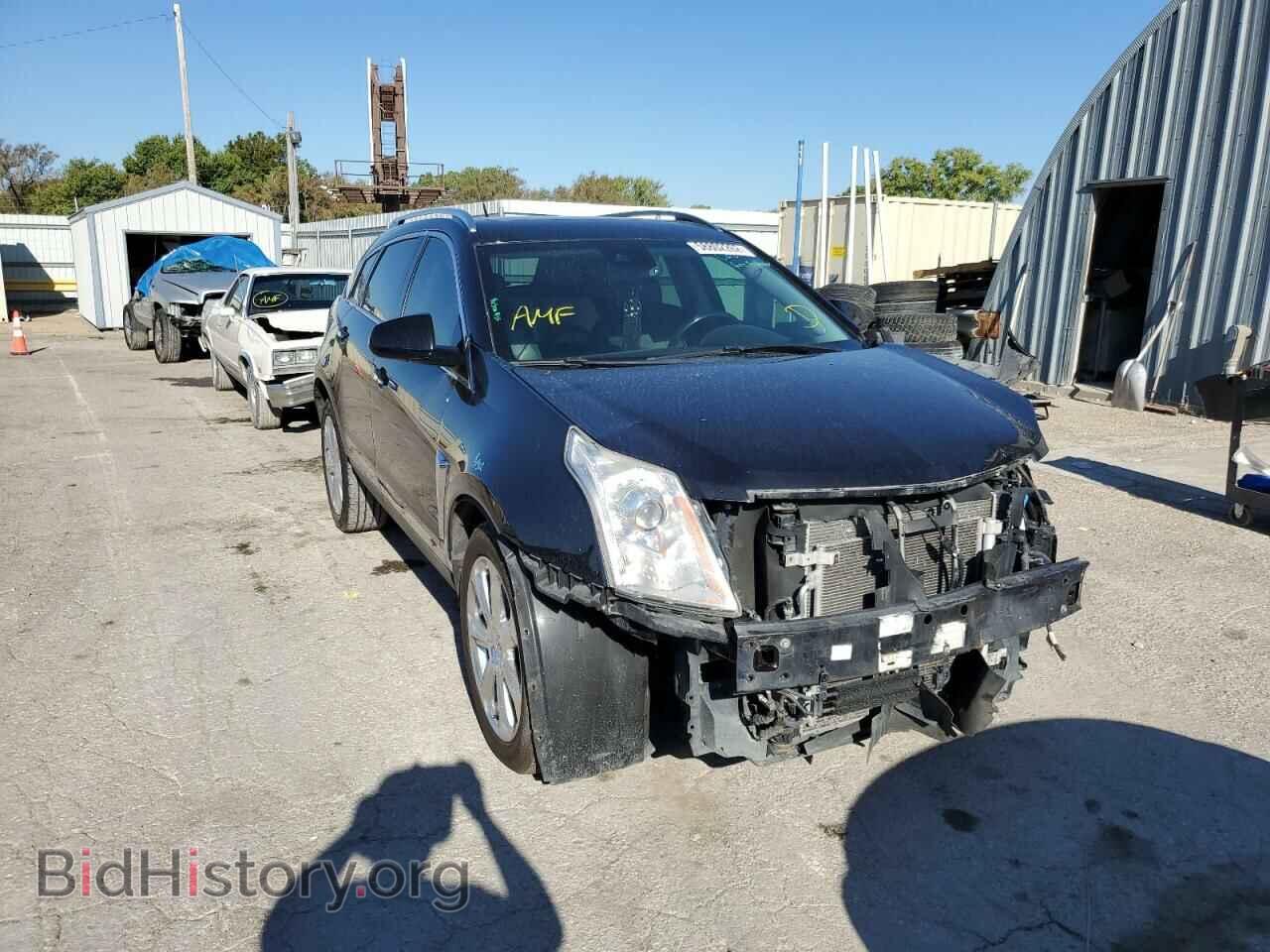Фотография 3GYFNEE31DS636656 - CADILLAC SRX 2013