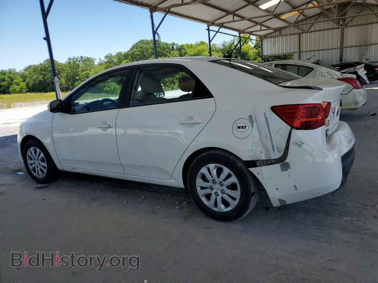 2010 KIA FORTE - VIN: KNAFT4A29A5048977 - Фото 2