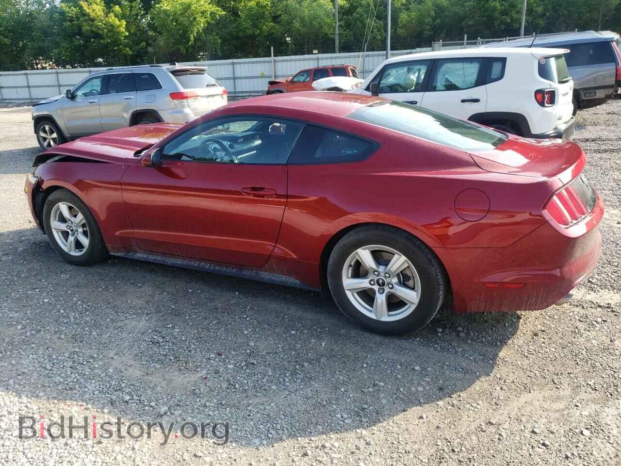 2017 FORD ALL Models - VIN: 1FA6P8AM4H5319735 - Фото 2