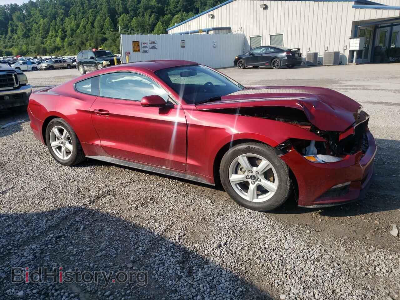 2017 FORD ALL Models - VIN: 1FA6P8AM4H5319735 - Фото 4