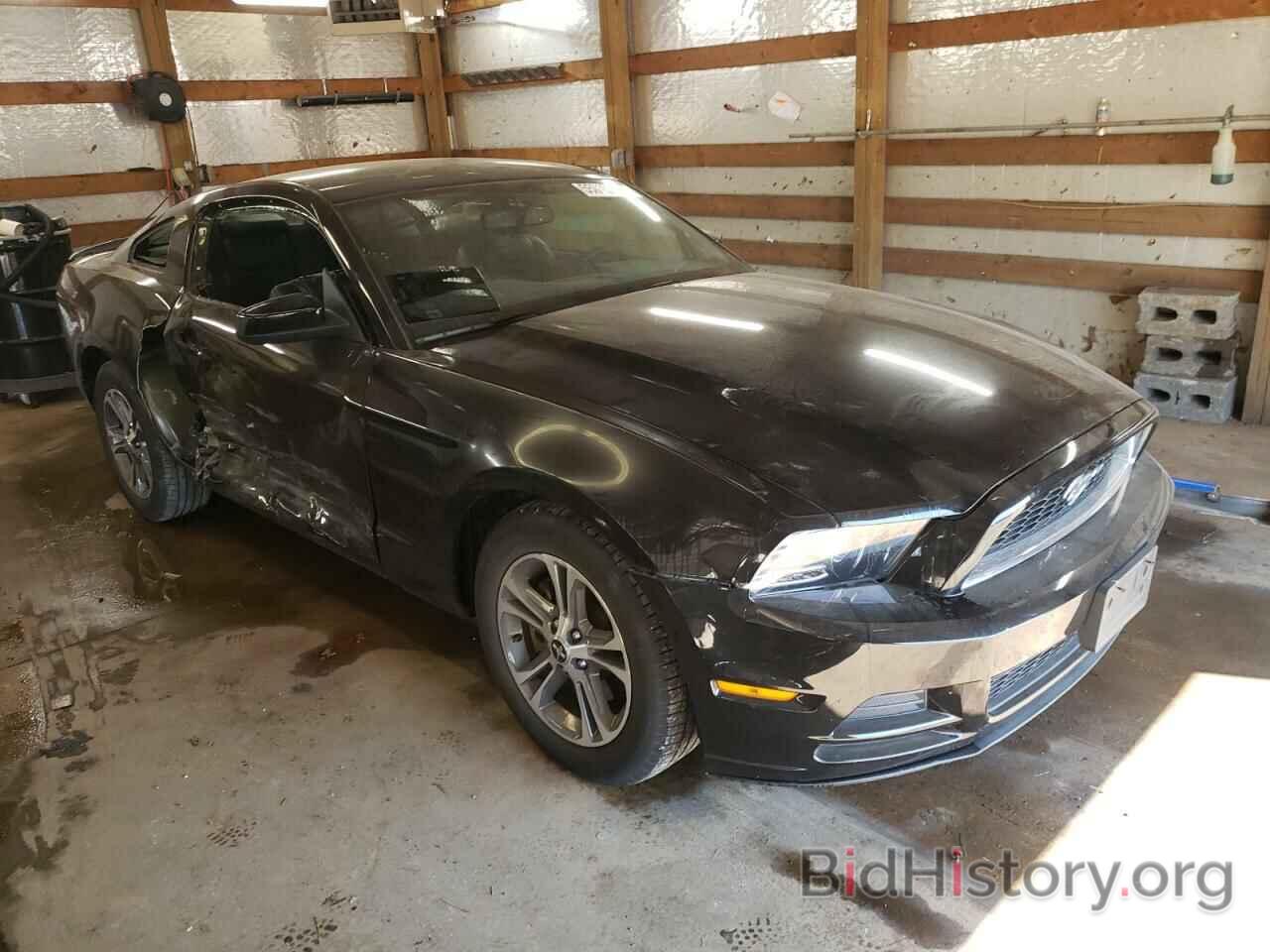 Photo 1ZVBP8AM3E5210717 - FORD MUSTANG 2014