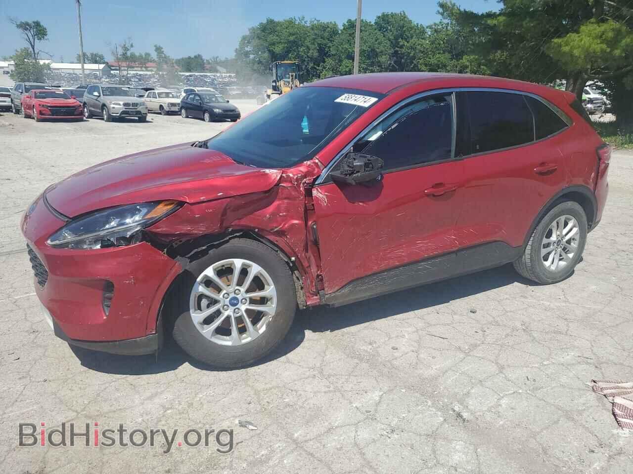 Photo 1FMCU0G69LUA29114 - FORD ESCAPE 2020