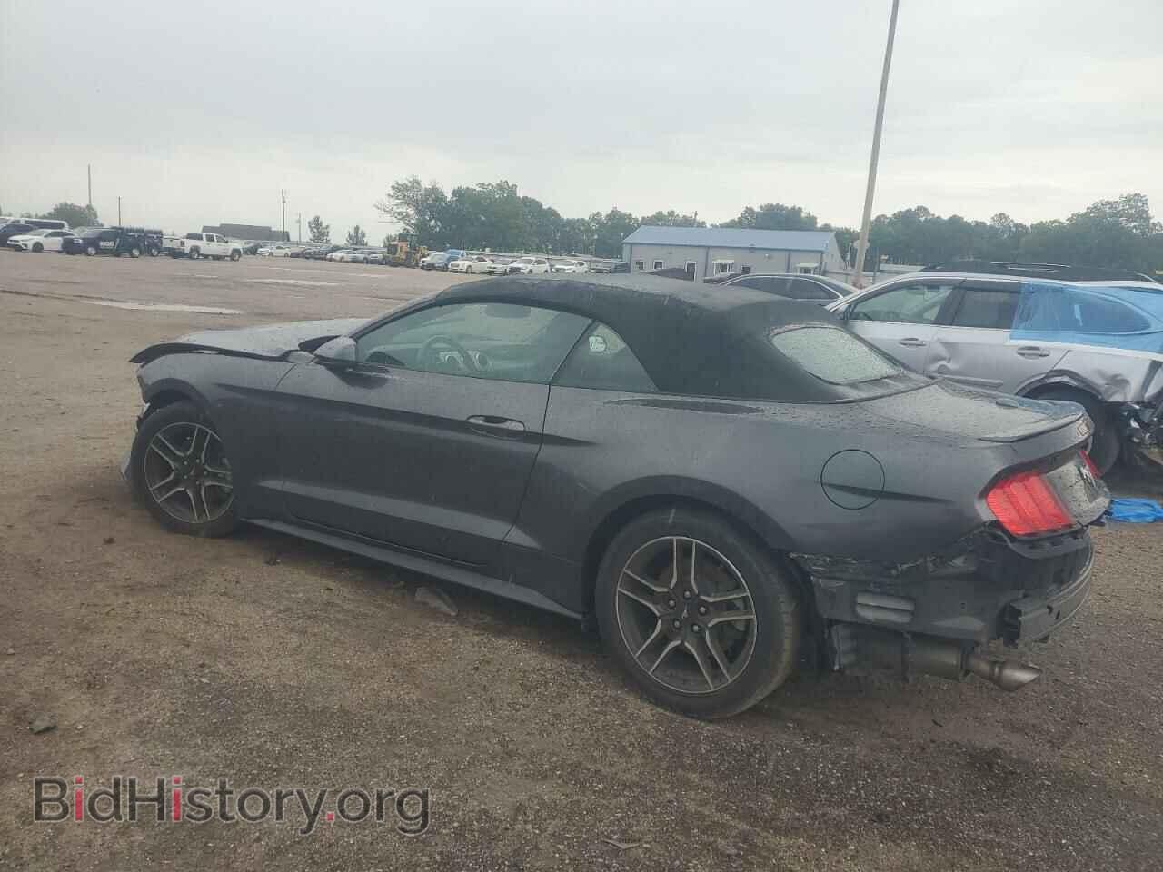 2019 FORD ALL Models - VIN: 1FATP8UH3K5181663 - Photo 2