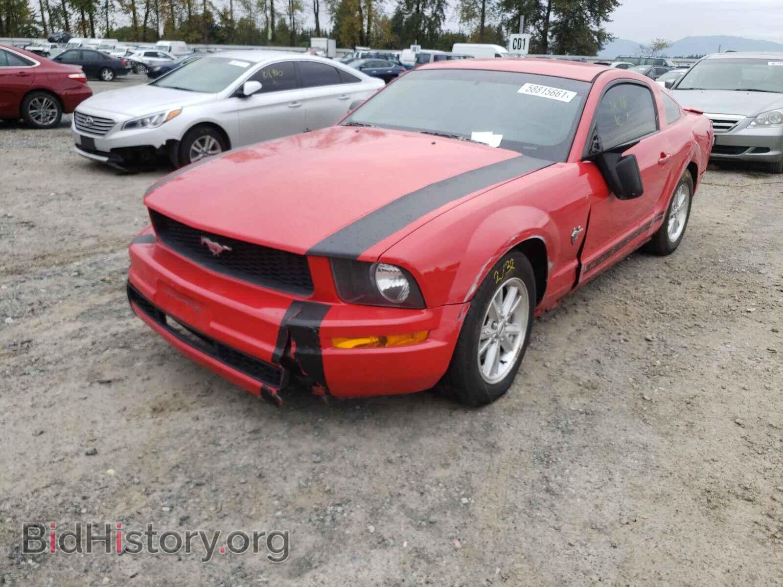 2009 FORD MUSTANG - VIN: 1ZVHT80N195100254 - Фото 2