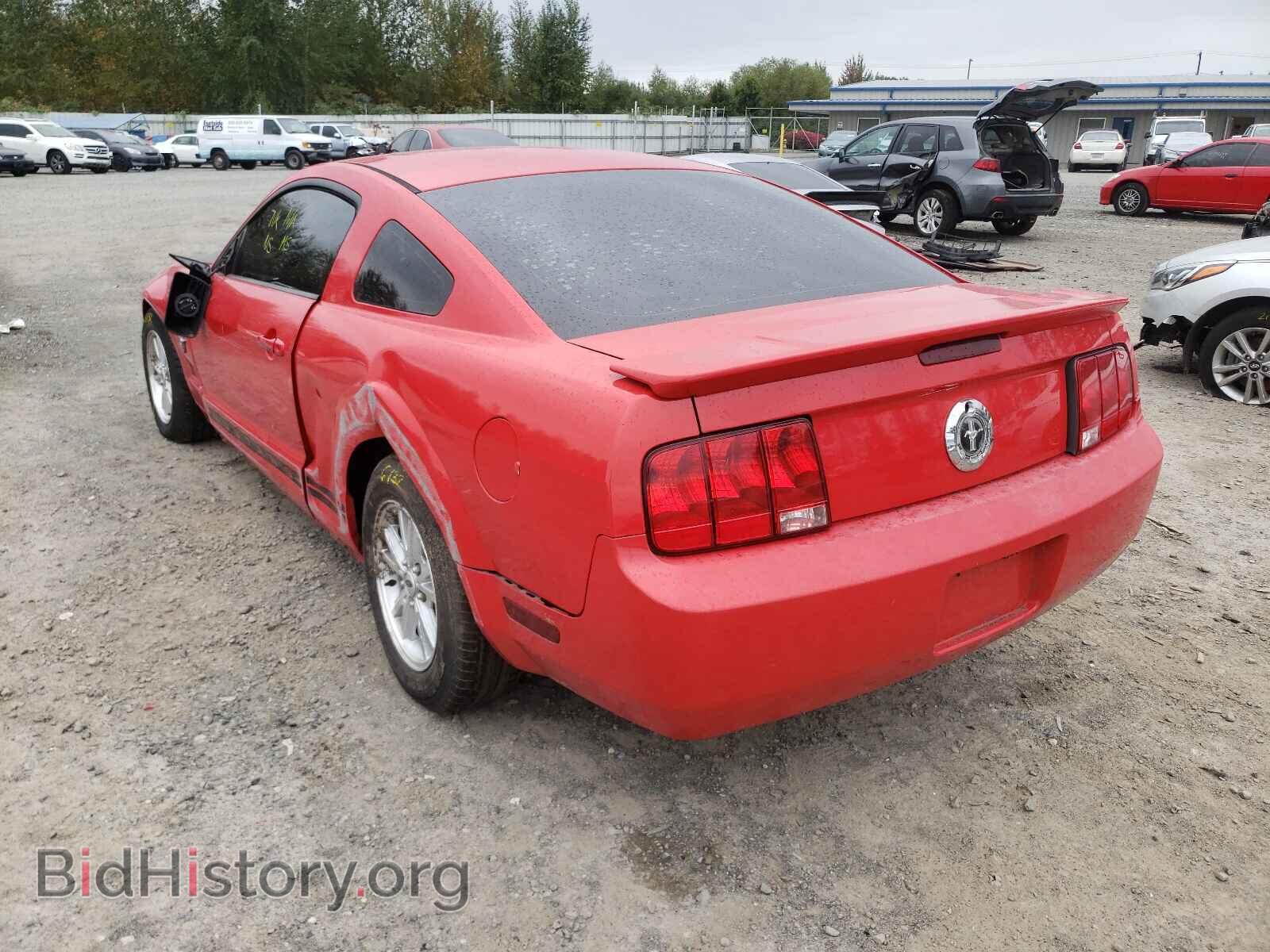 2009 FORD MUSTANG - VIN: 1ZVHT80N195100254 - Фото 3