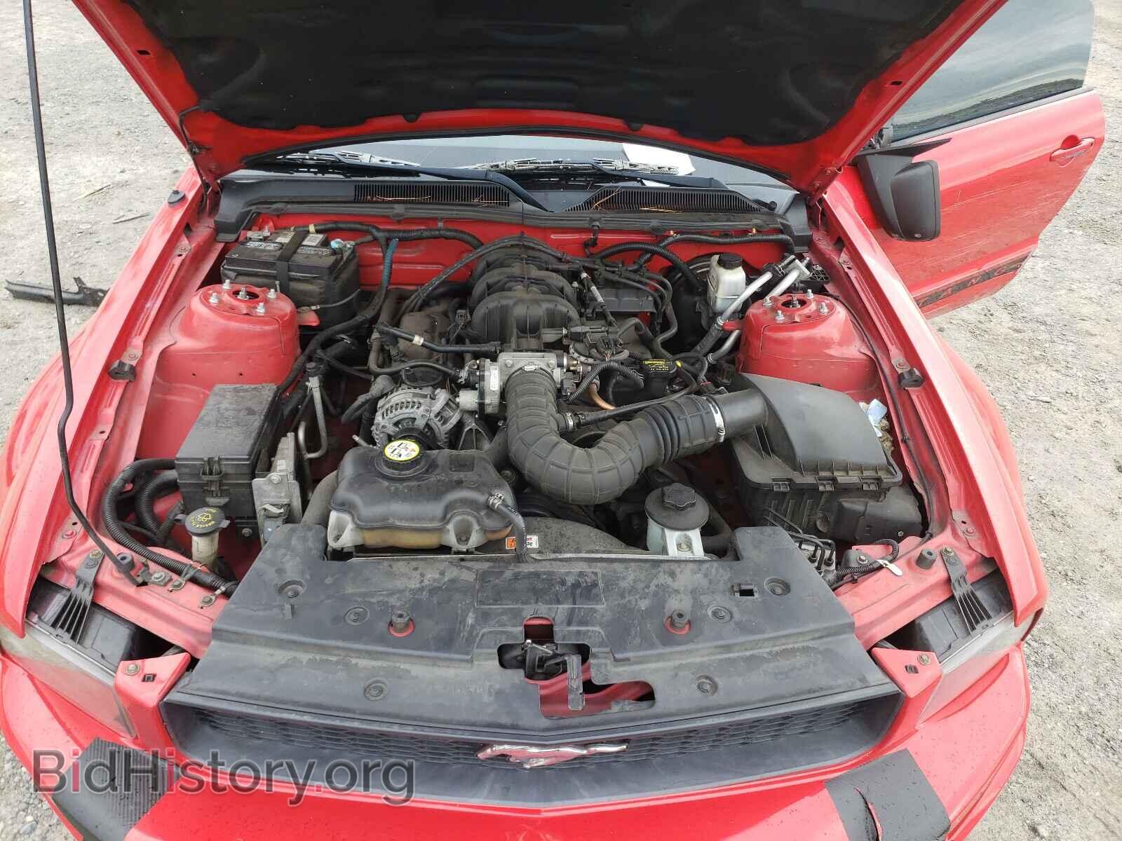 2009 FORD MUSTANG - VIN: 1ZVHT80N195100254 - Фото 7