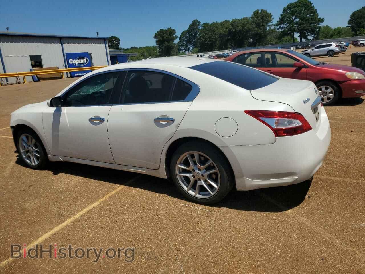 2011 NISSAN MAXIMA - VIN: 1N4AA5AP4BC848514 - Фото 2