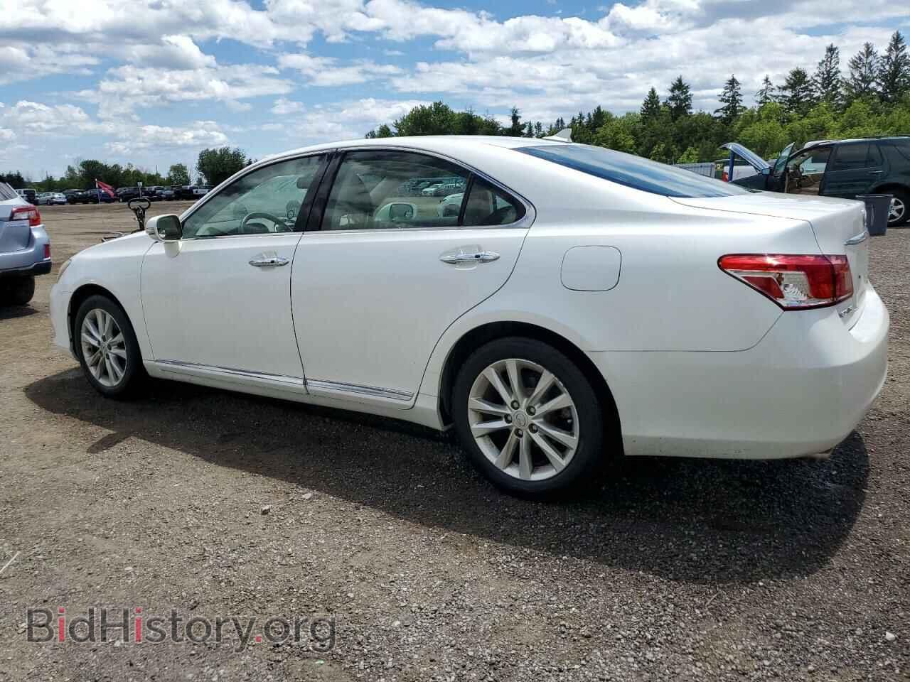 2010 LEXUS ES350 - VIN: JTHBK1EG4A2374680 - Фото 2