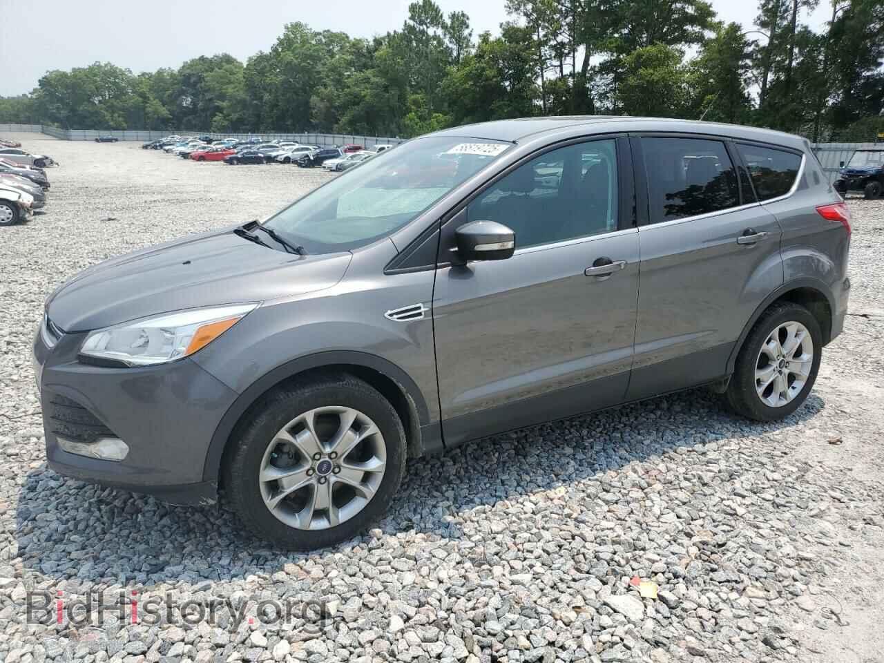 Photo 1FMCU0HX7DUB69574 - FORD ESCAPE 2013