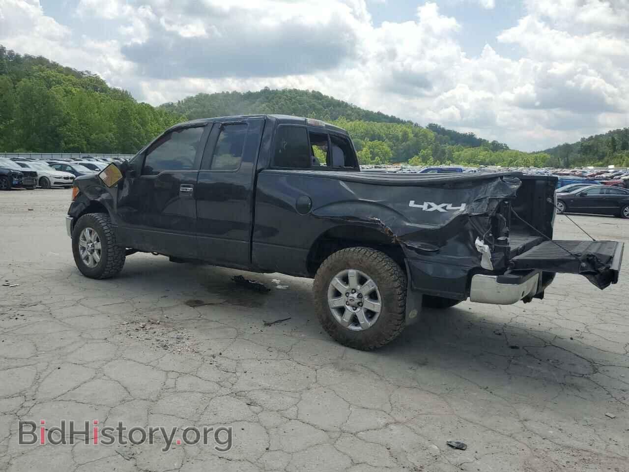 2013 FORD F-150 - VIN: 1FTFX1EF1DFA59005 - Фото 2