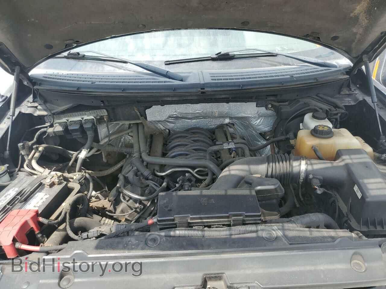 2013 FORD F-150 - VIN: 1FTFX1EF1DFA59005 - Фото 11