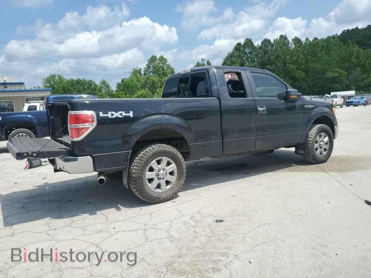 2013 FORD F-150 - VIN: 1FTFX1EF1DFA59005 - Фото 3