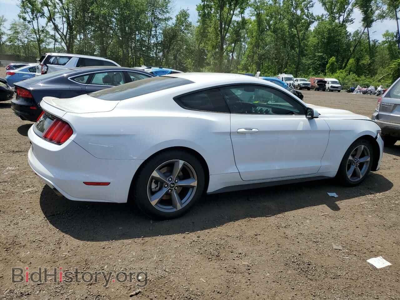 2016 FORD ALL Models - VIN: 1FA6P8AM9G5322984 - Фото 3