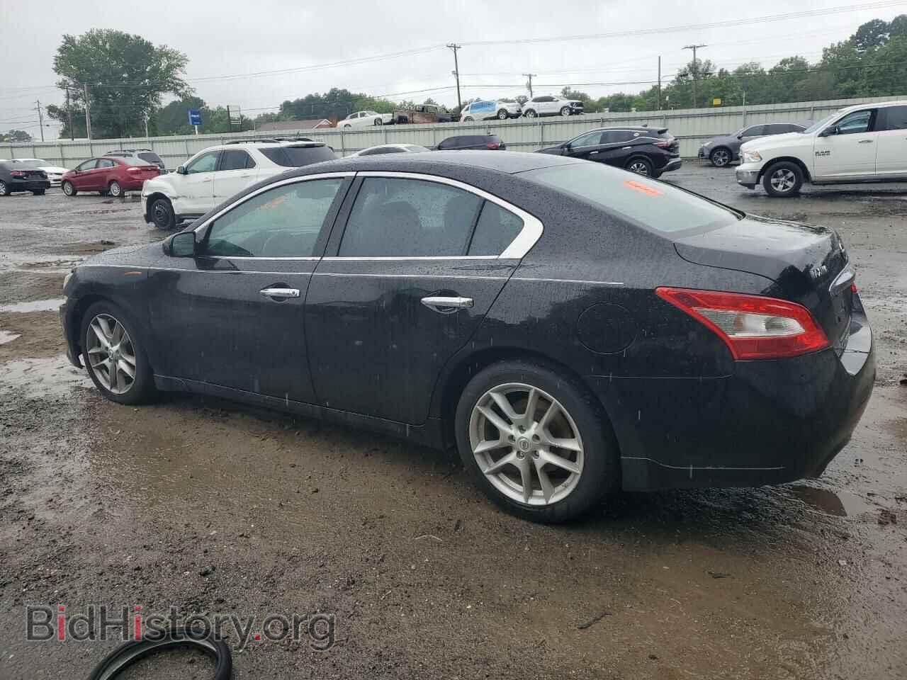2010 NISSAN MAXIMA - VIN: 1N4AA5AP4AC816659 - Фото 2
