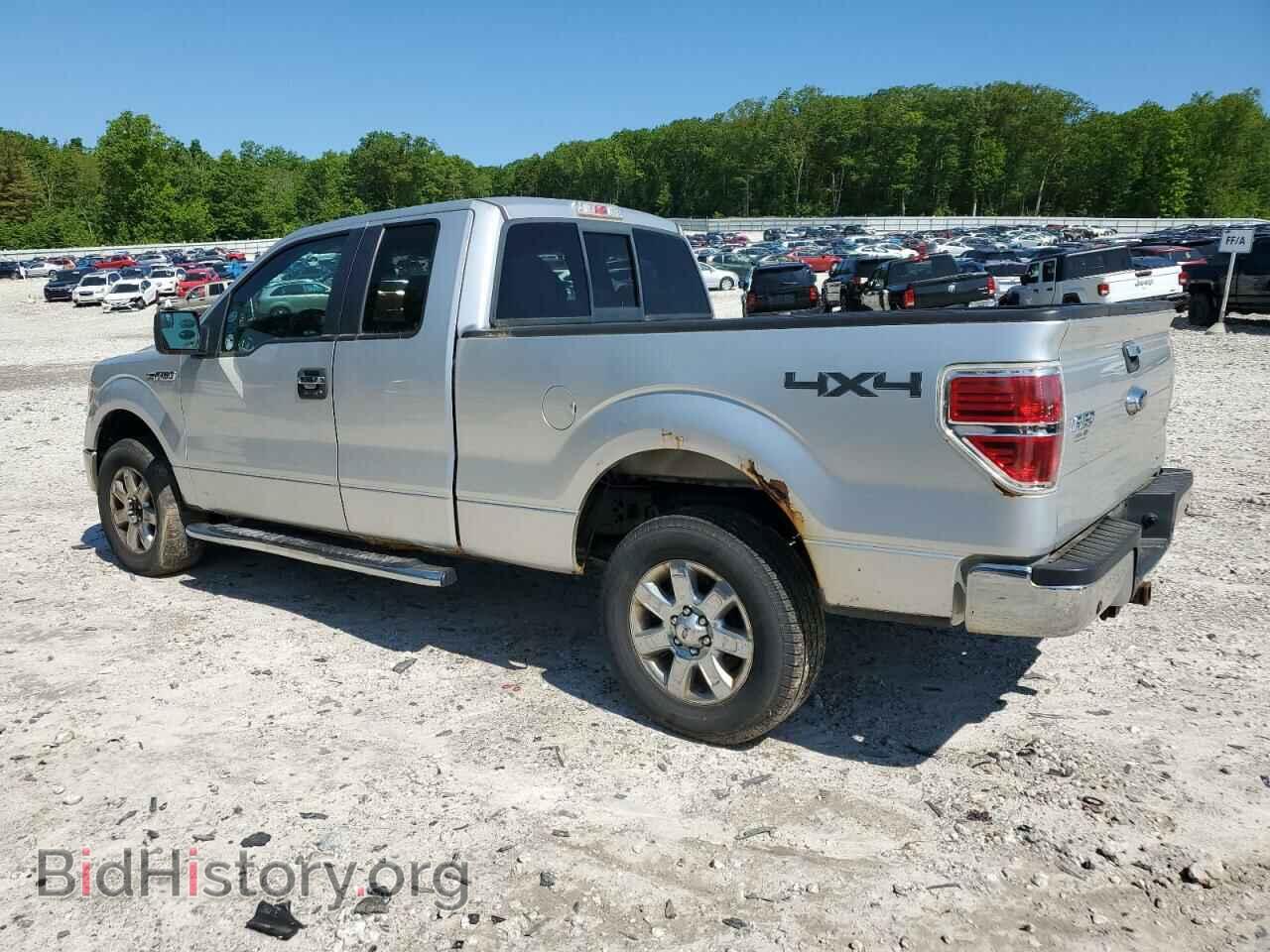 2013 FORD F-150 - VIN: 1FTFX1EF1DFB25701 - Фото 2
