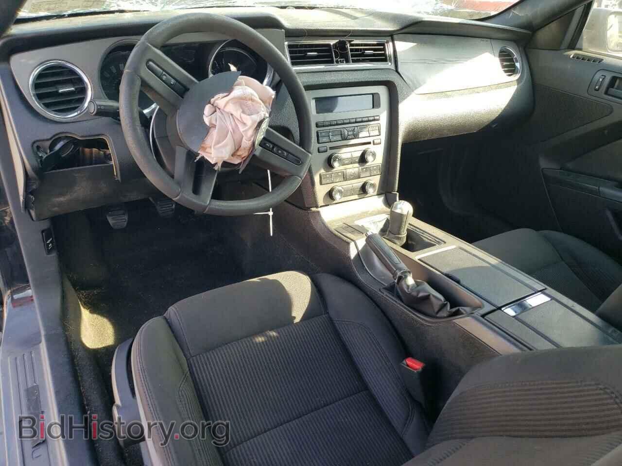 2012 FORD ALL Models - VIN: 1ZVBP8AM6C5258130 - Фото 8