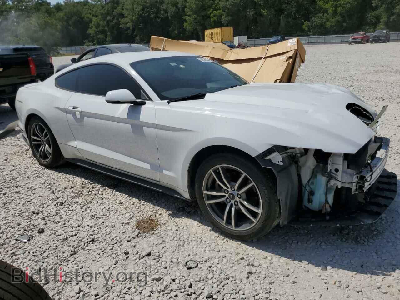 2017 FORD ALL Models - VIN: 1FA6P8TH0H5335835 - Photo 4
