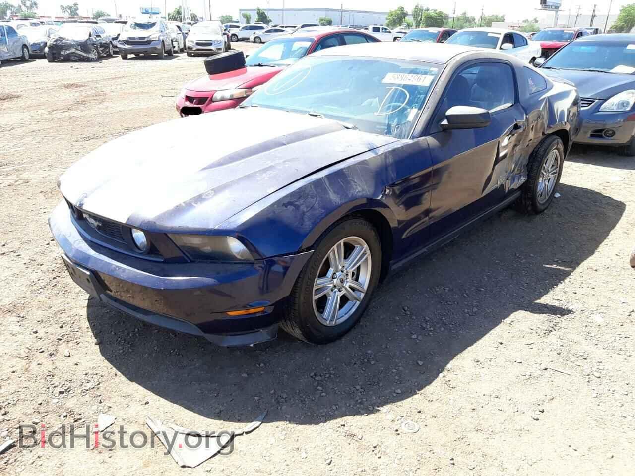 2011 FORD MUSTANG - VIN: 1ZVBP8AM4B5132850 - Фото 2