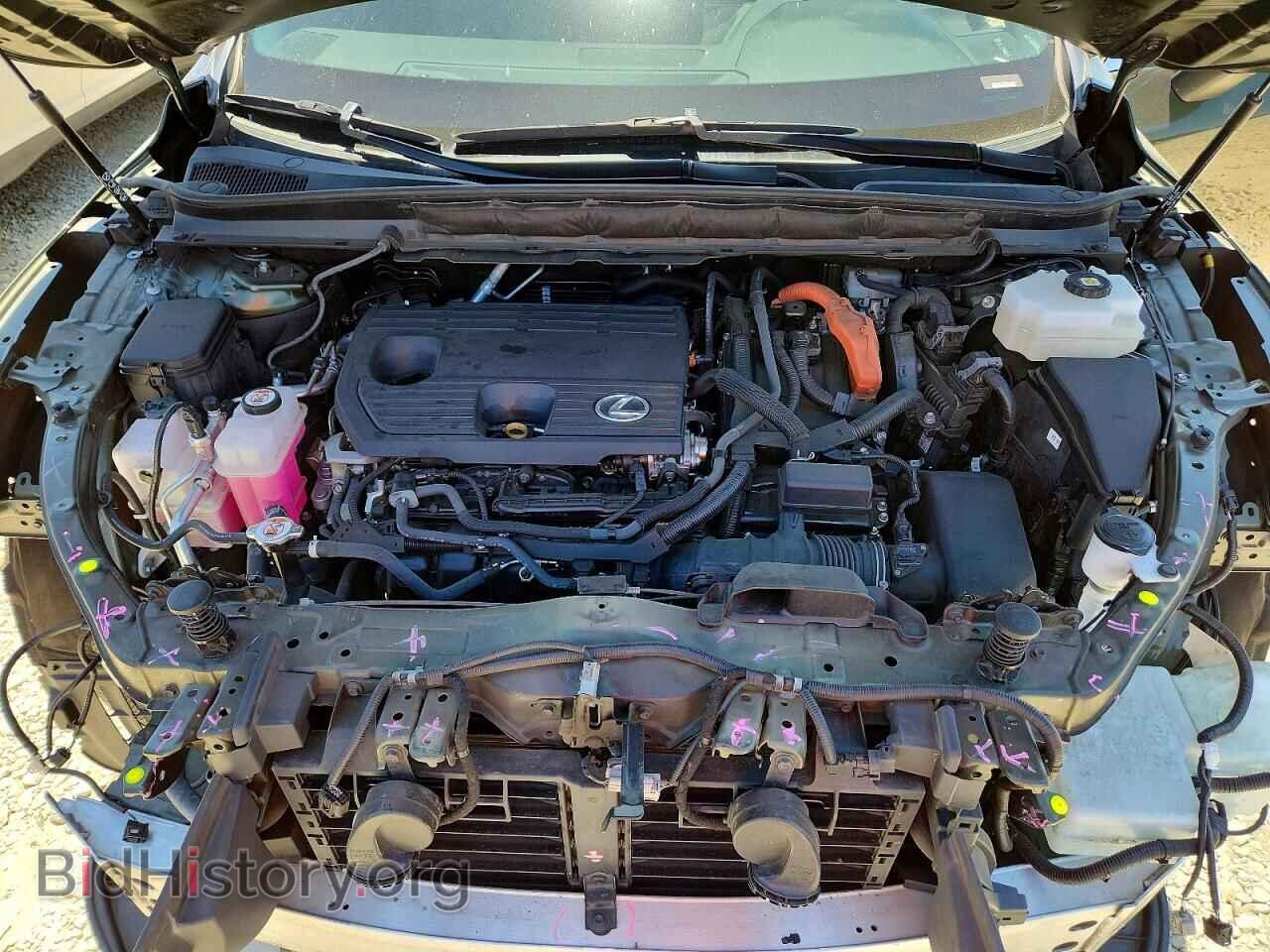2023 LEXUS UNKNOWN - VIN: 2T2BBMCA3PC003467 - Photo 12