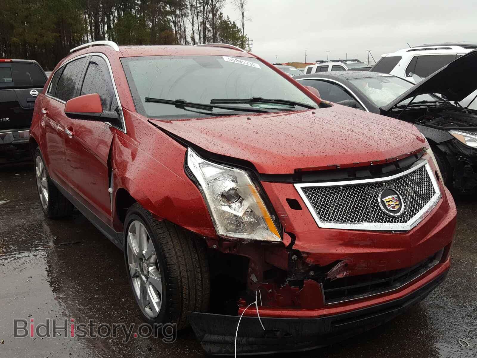 Photo 3GYFNCEY4BS525614 - CADILLAC SRX 2011