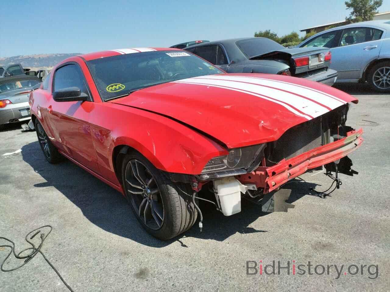 Photo 1ZVBP8AM1E5237852 - FORD MUSTANG 2014