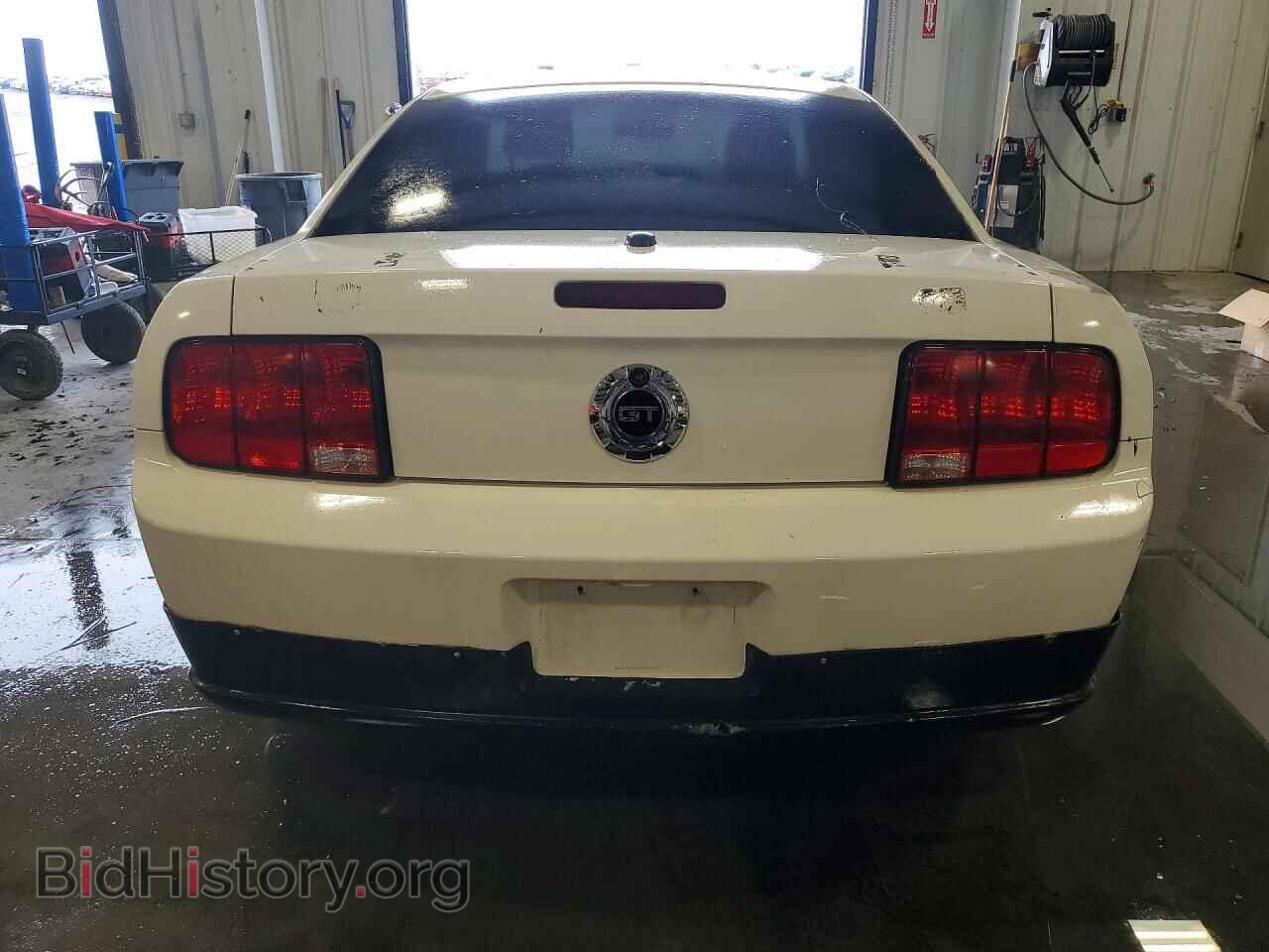 2008 FORD MUSTANG - VIN: 1ZVHT82HX85184256 - Фото 6