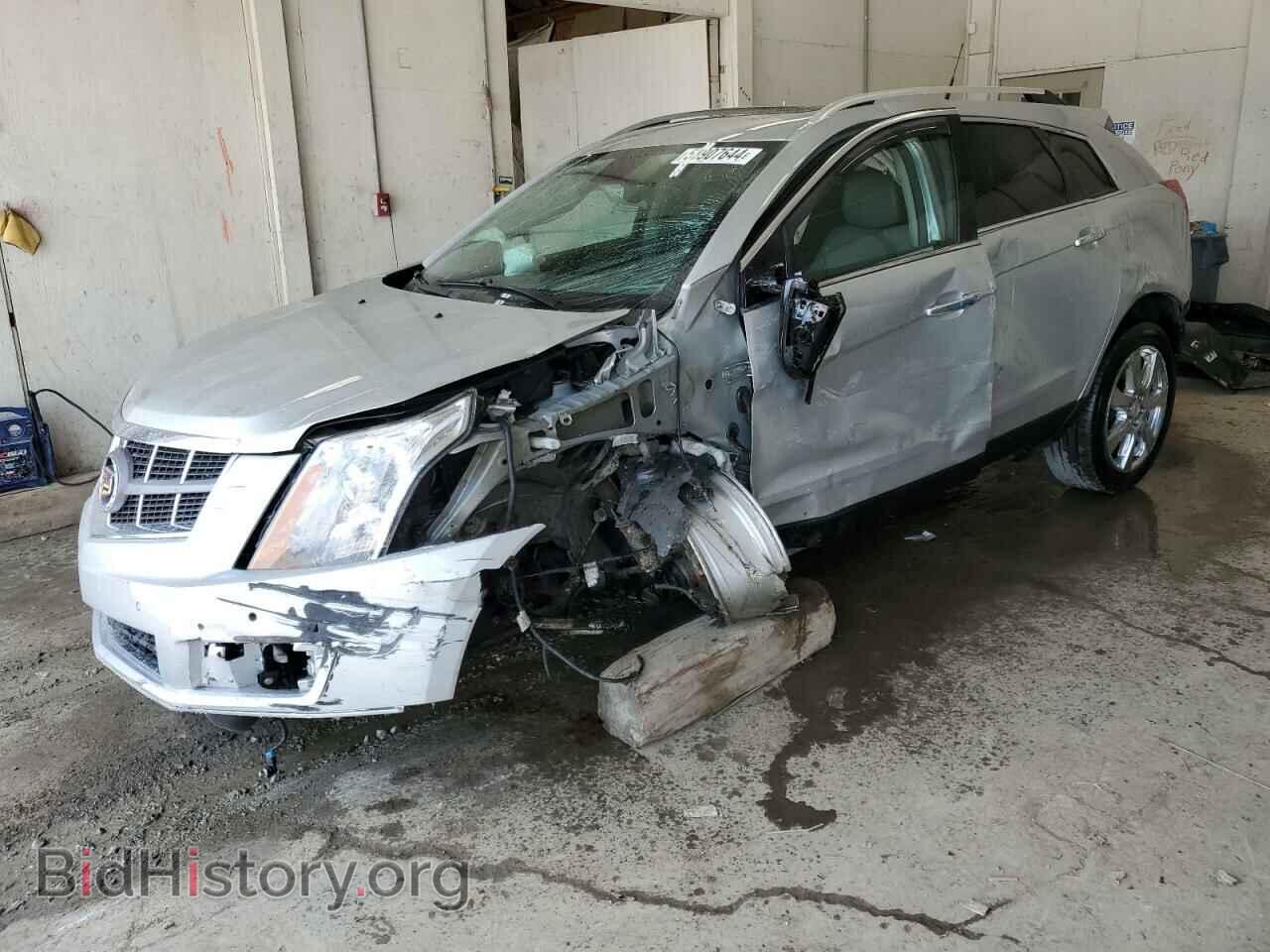 Photo 3GYFNBEY8AS558219 - CADILLAC SRX 2010