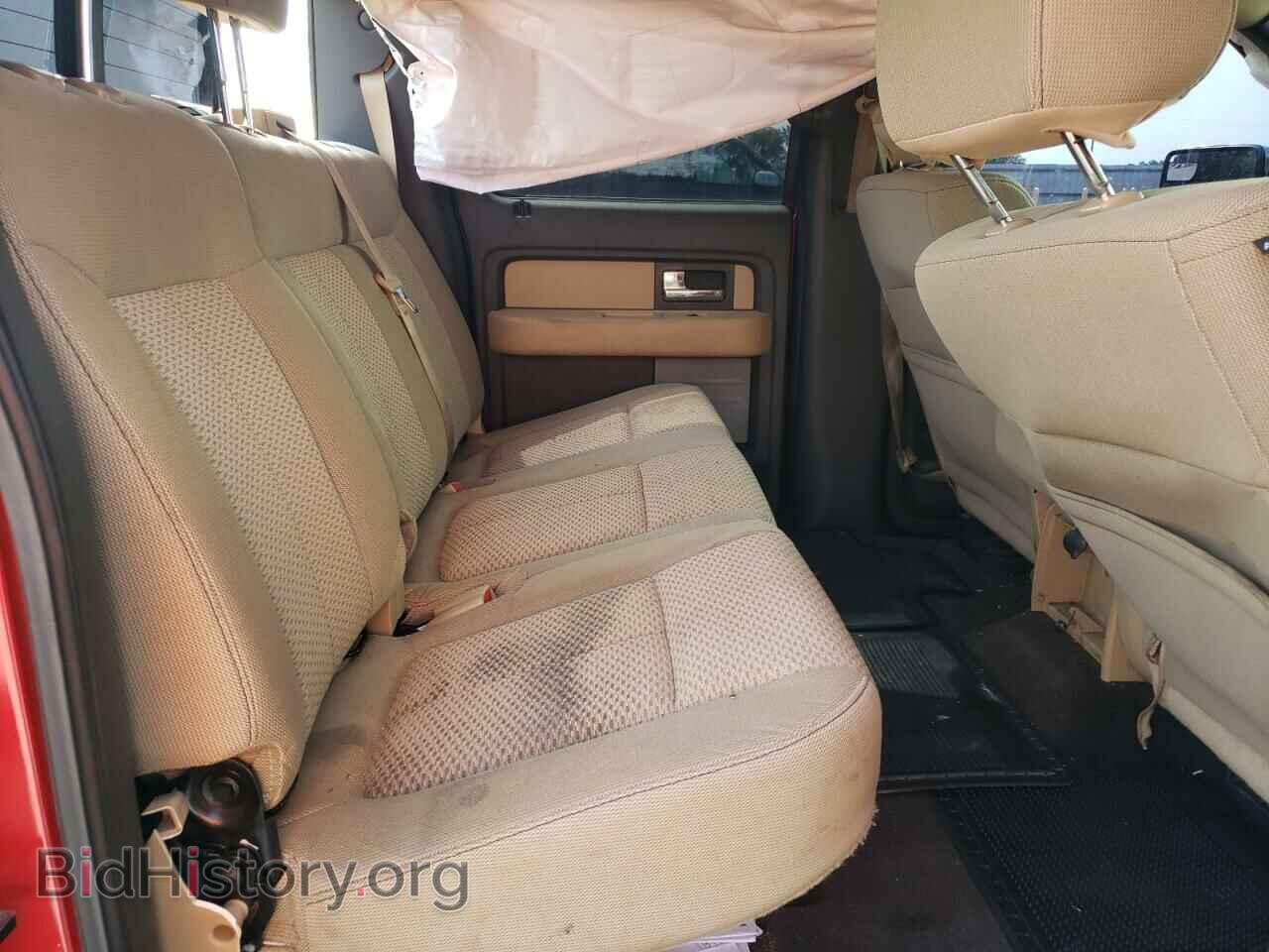 2013 FORD F-150 - VIN: 1FTFW1CT5DFB06239 - Фото 10