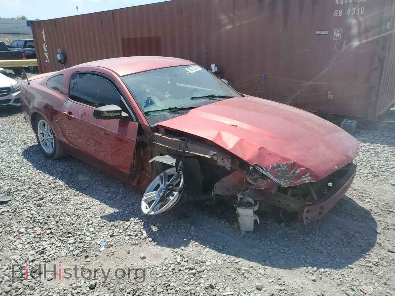 2010 FORD ALL Models - VIN: 1ZVBP8ANXA5142497 - Фото 4
