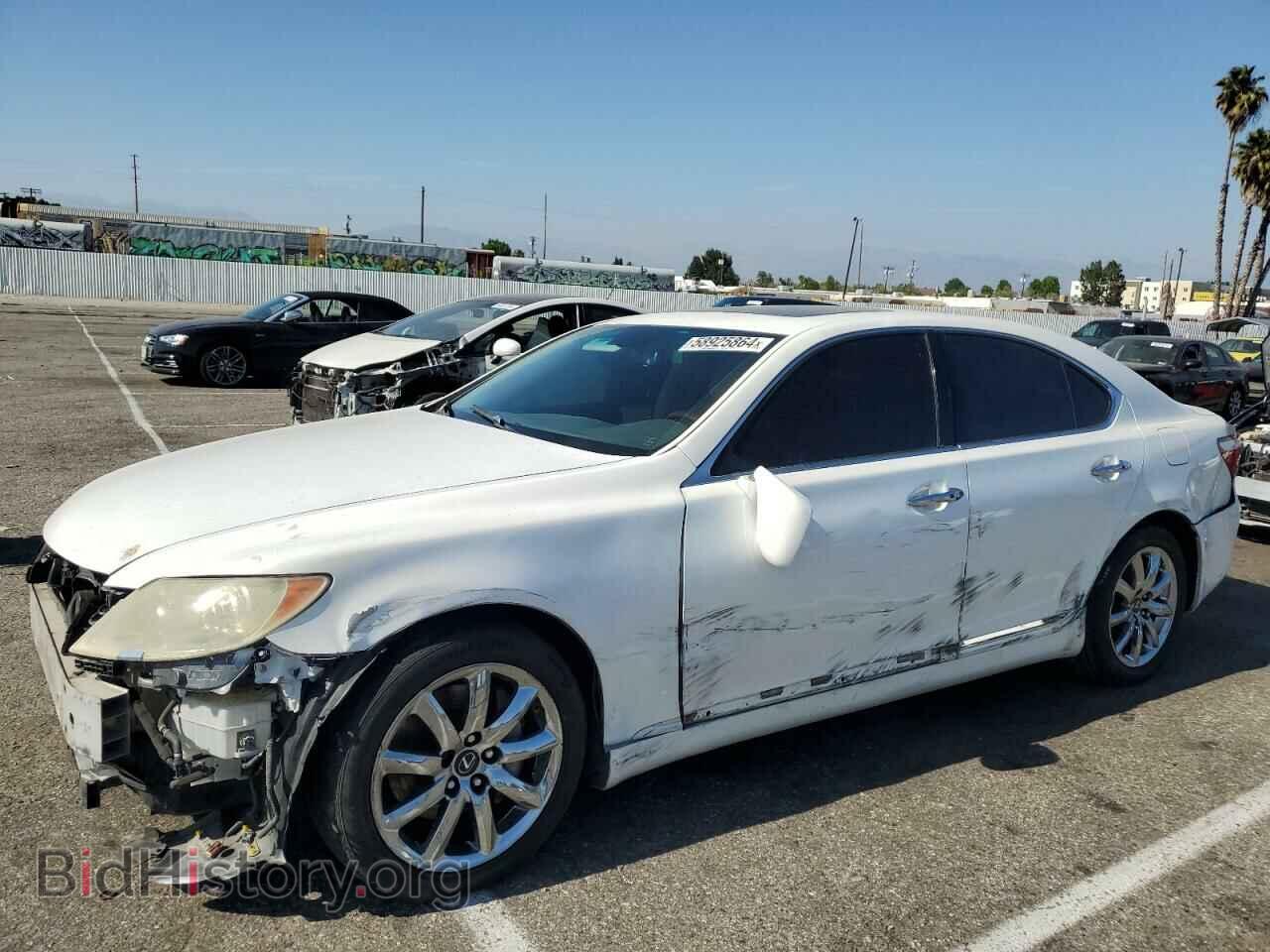 Photo JTHBL46F485082993 - LEXUS LS460 2008