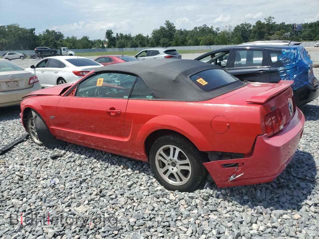 2005 FORD MUSTANG - VIN: 1ZVFT85H355185330 - Фото 2