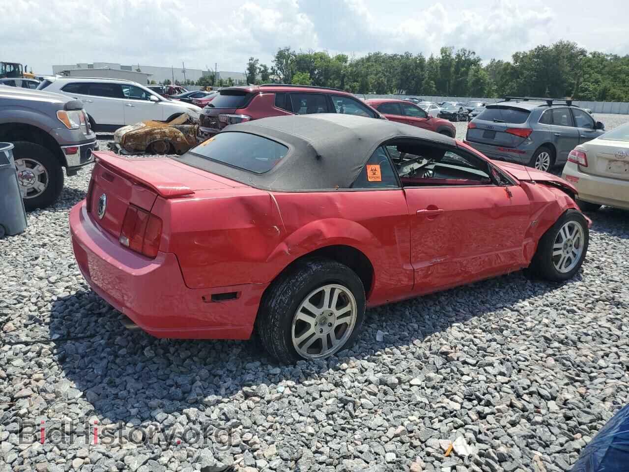 2005 FORD MUSTANG - VIN: 1ZVFT85H355185330 - Фото 3