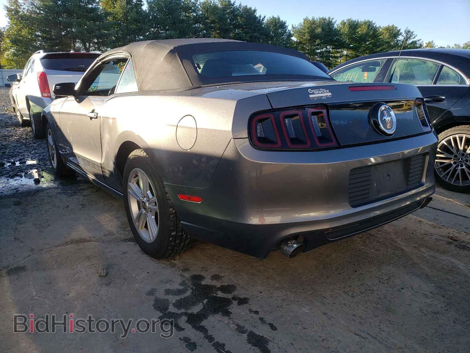2013 FORD MUSTANG - VIN: 1ZVBP8EM5D5203504 - Фото 3