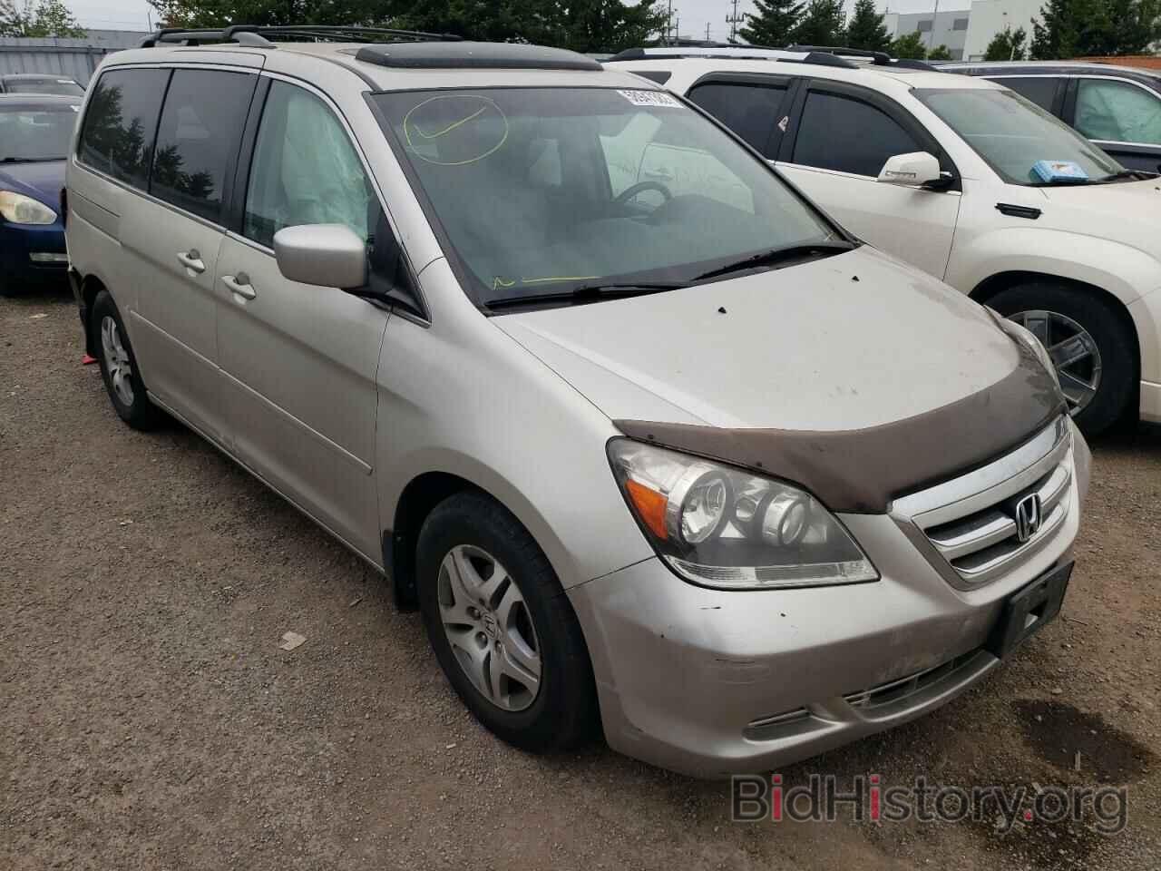 Фотография 5FNRL38637B500545 - HONDA ODYSSEY 2007