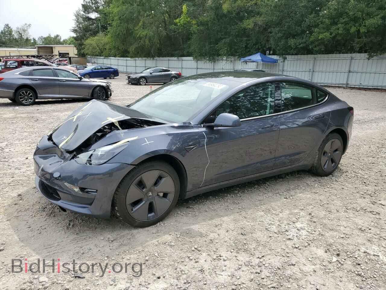 Фотография 5YJ3E1EA4PF406560 - TESLA MODEL 3 2023
