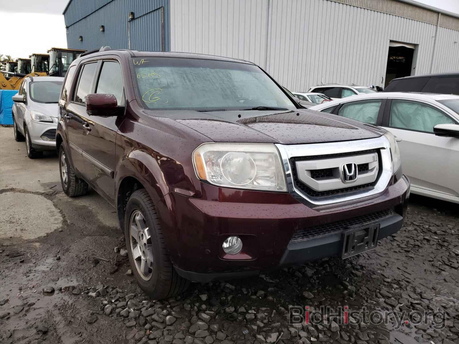 Photo 5FNYF4H91AB040702 - HONDA PILOT 2010