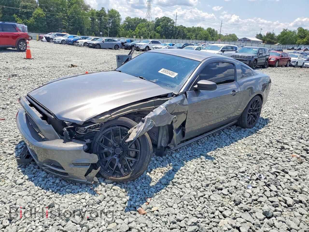 Фотография 1ZVBP8AM1E5318317 - FORD MUSTANG 2014
