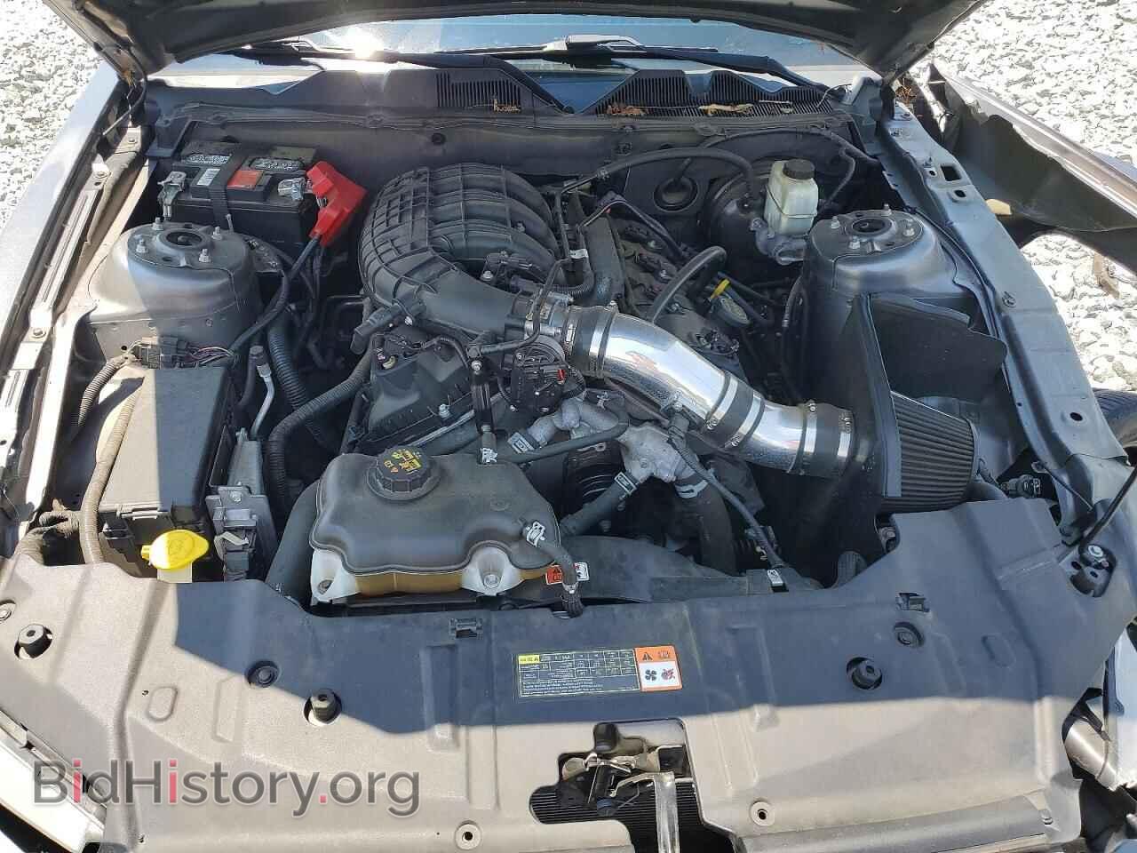 2014 FORD MUSTANG - VIN: 1ZVBP8AM1E5318317 - Photo 11