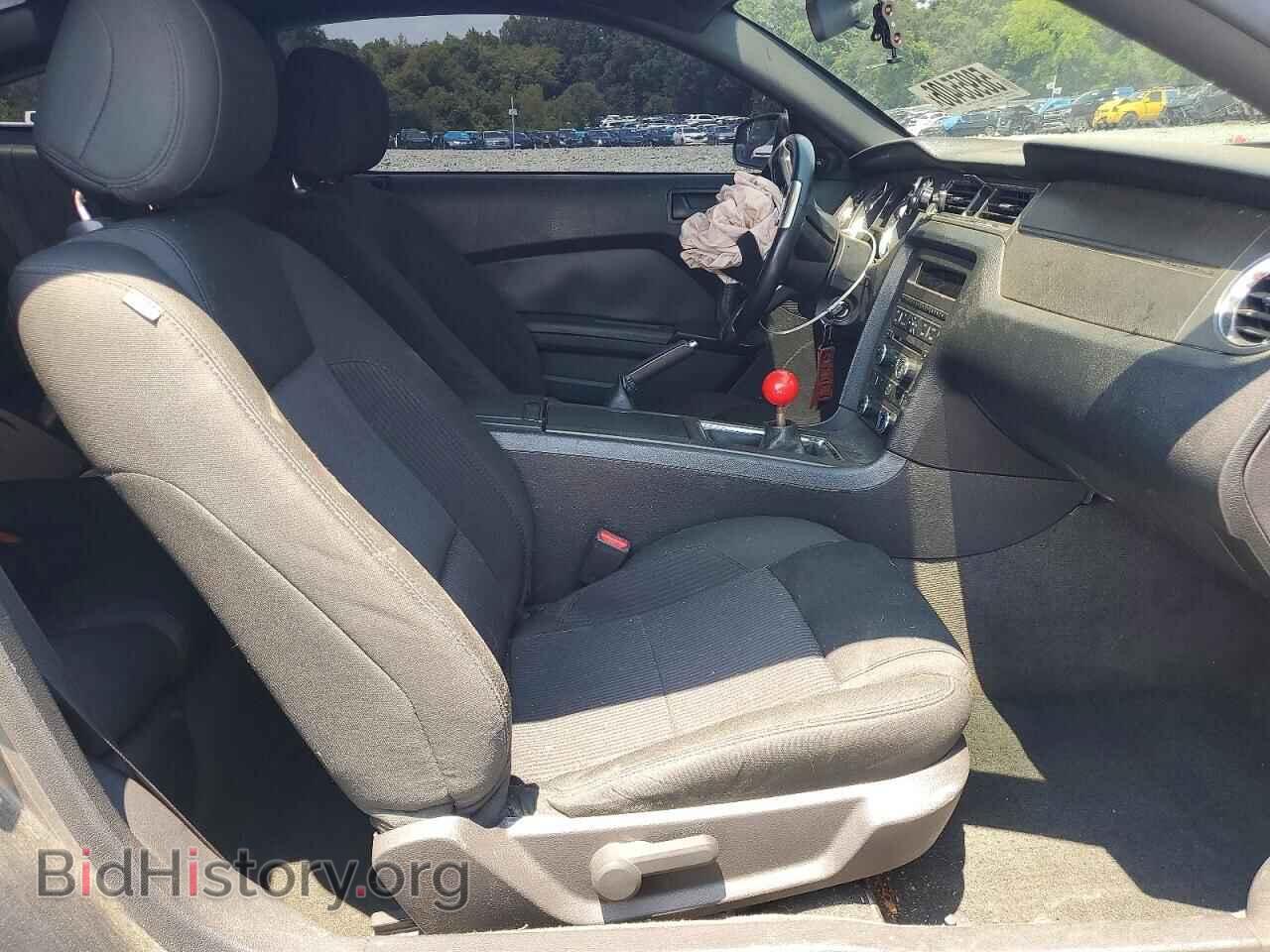 2014 FORD MUSTANG - VIN: 1ZVBP8AM1E5318317 - Photo 10