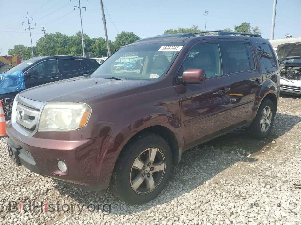 Фотография 5FNYF38579B016164 - HONDA PILOT 2009