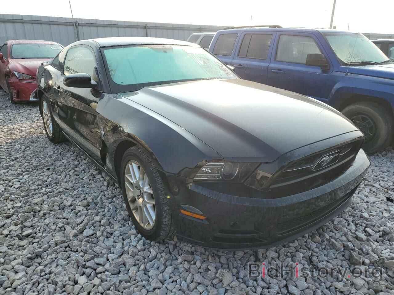 Photo 1ZVBP8AM4E5320059 - FORD MUSTANG 2014