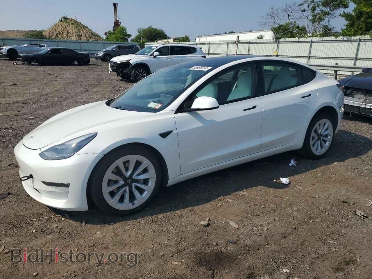 Photo 5YJ3E1EB7MF975455 - TESLA MODEL 3 2021