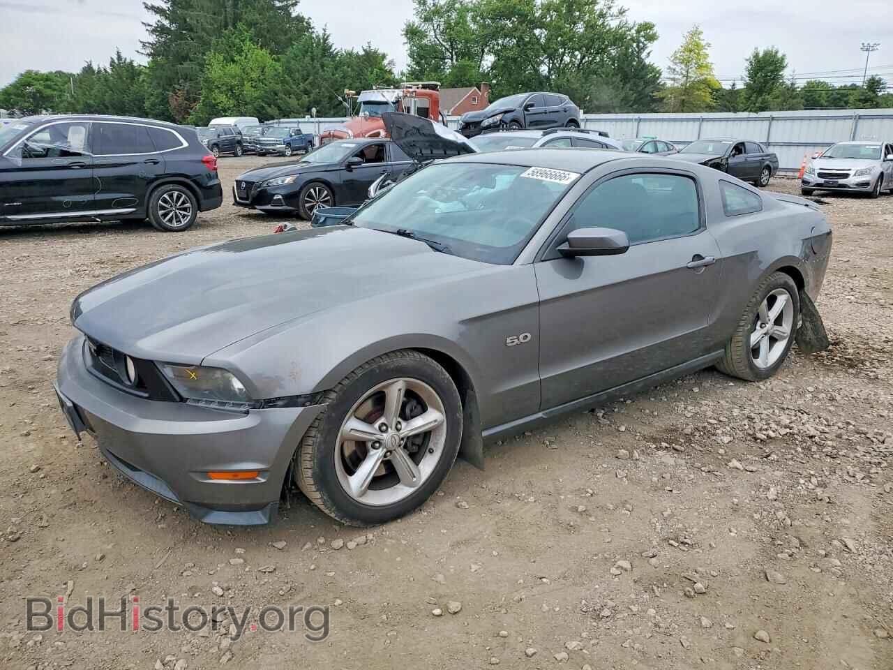 Фотография 1ZVBP8CF0B5127093 - FORD MUSTANG 2011