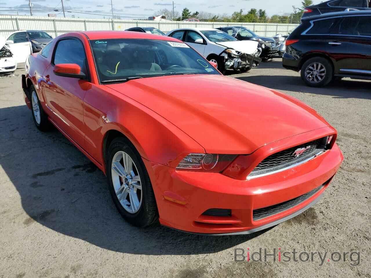 Photo 1ZVBP8AM6E5290112 - FORD MUSTANG 2014