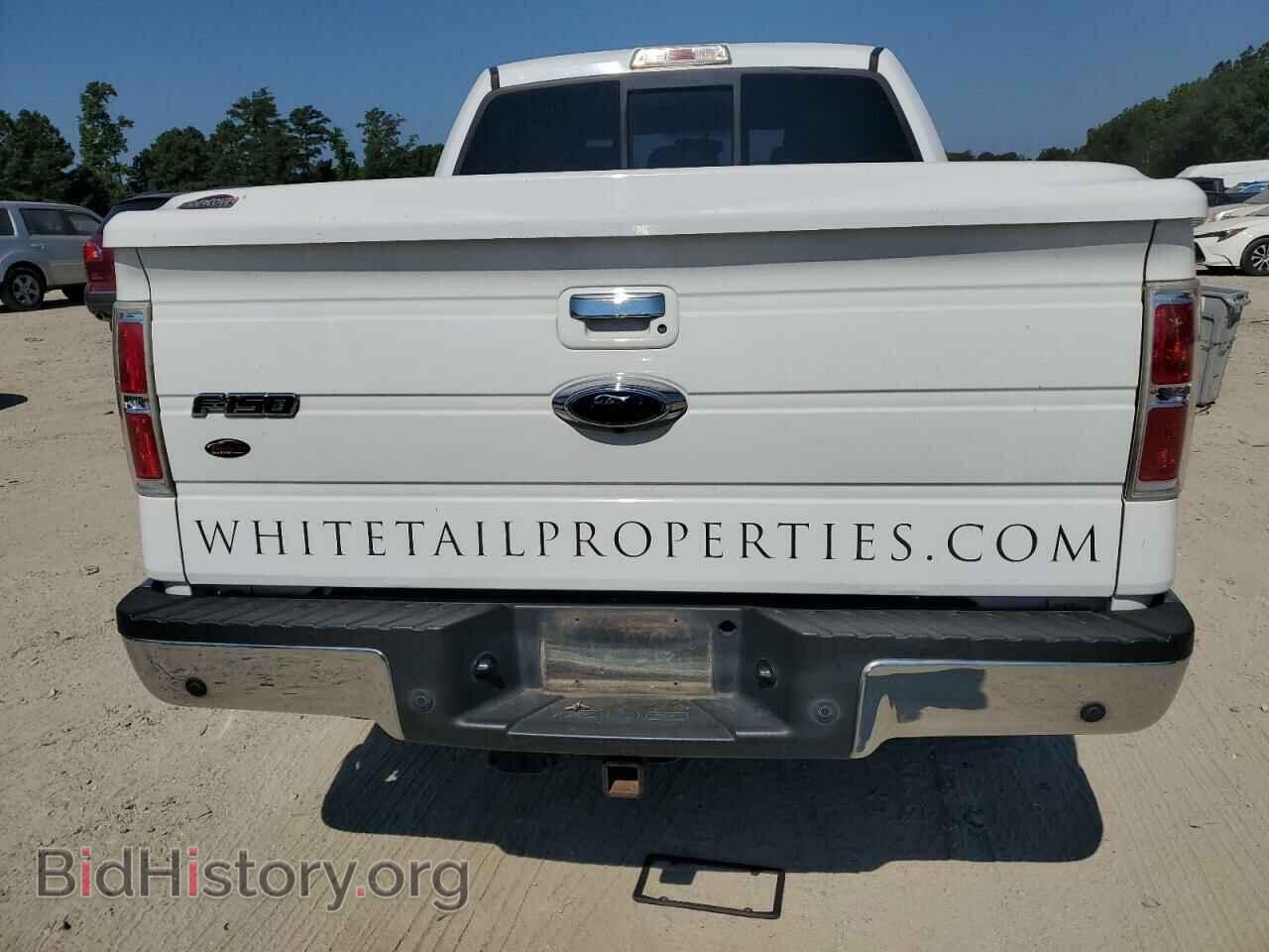 2011 FORD F-150 - VIN: 1FTFW1EF3BFC01922 - Фото 6
