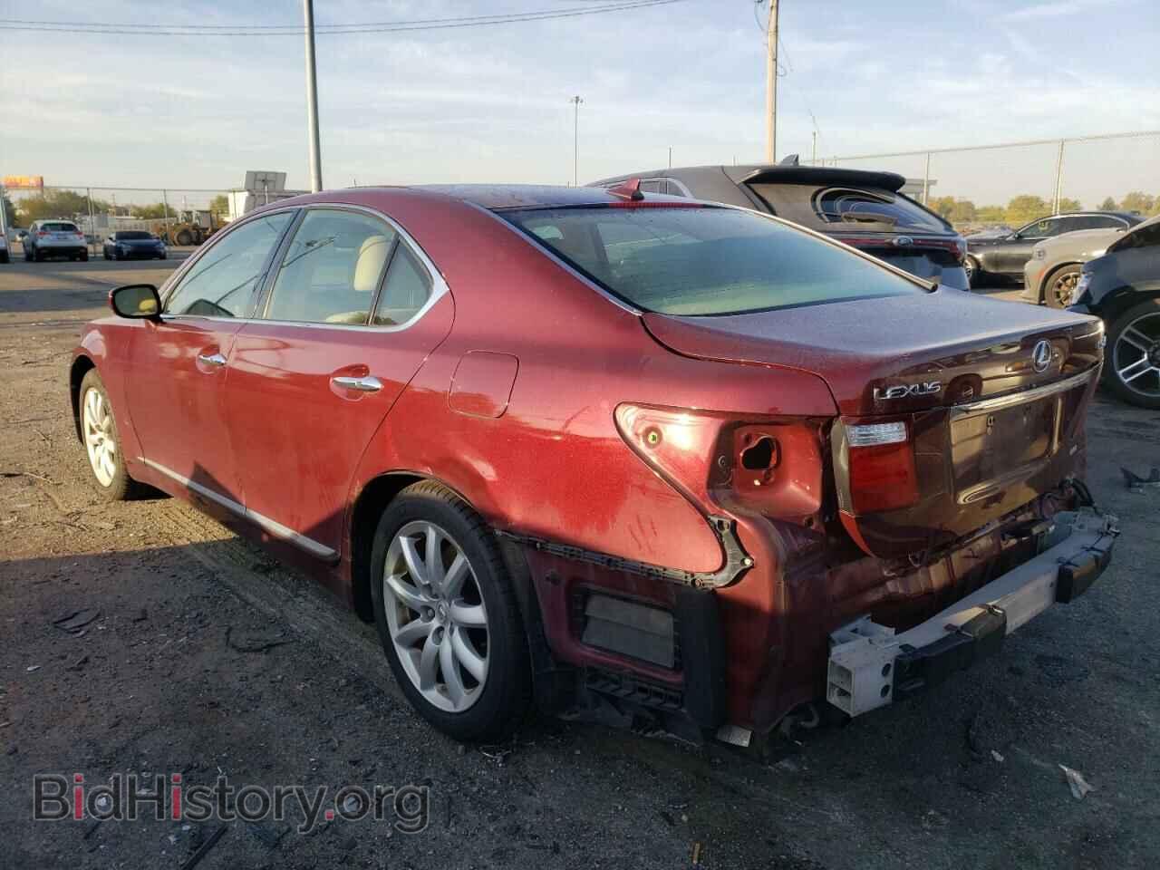 2009 LEXUS LS460 - VIN: JTHCL46F995001279 - Фото 3