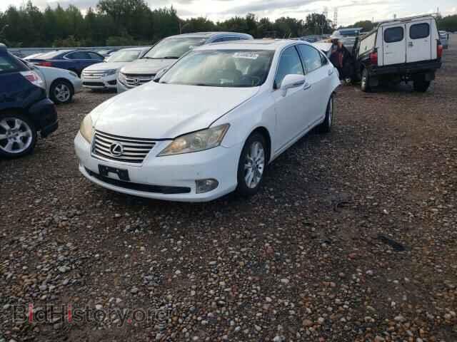 2010 LEXUS ES250 - VIN: JTHBK1EG9A2347040 - Фото 2