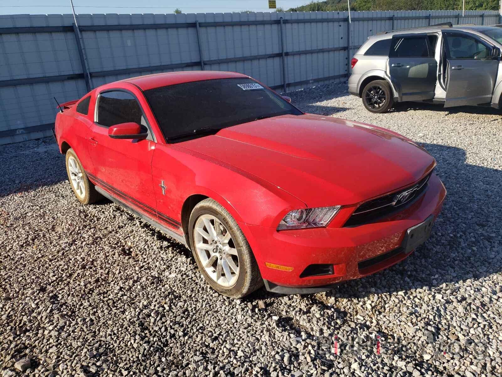 Photo 1ZVBP8AN9A5154091 - FORD MUSTANG 2010